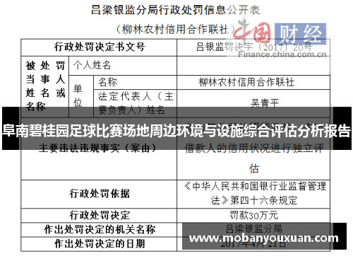 阜南碧桂园足球比赛场地周边环境与设施综合评估分析报告